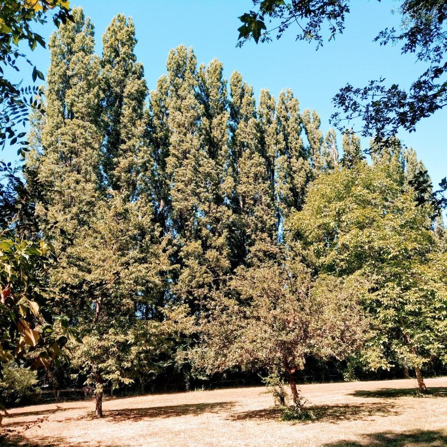 Domaine De La Clef Des Champs Acomodação com café da manhã Limeray Exterior foto